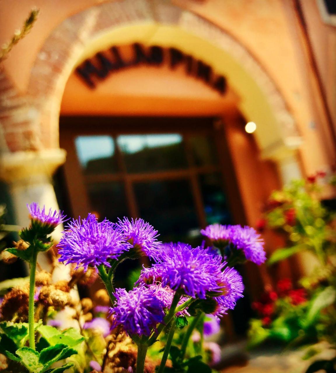 Boutique Hotel Corte Malaspina Castelnuovo del Garda Eksteriør bilde